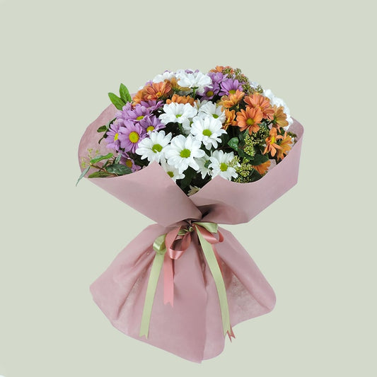 Papatya Panoraması - Premium Çiçek